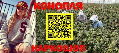 СК Камень-на-Оби