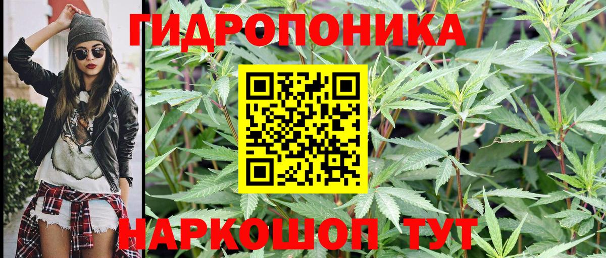 Долгопрудный  Бошки Шишки планчик  Бошки Шишки ГИДРОПОН  Каннабис конопля  Вход с VPN 